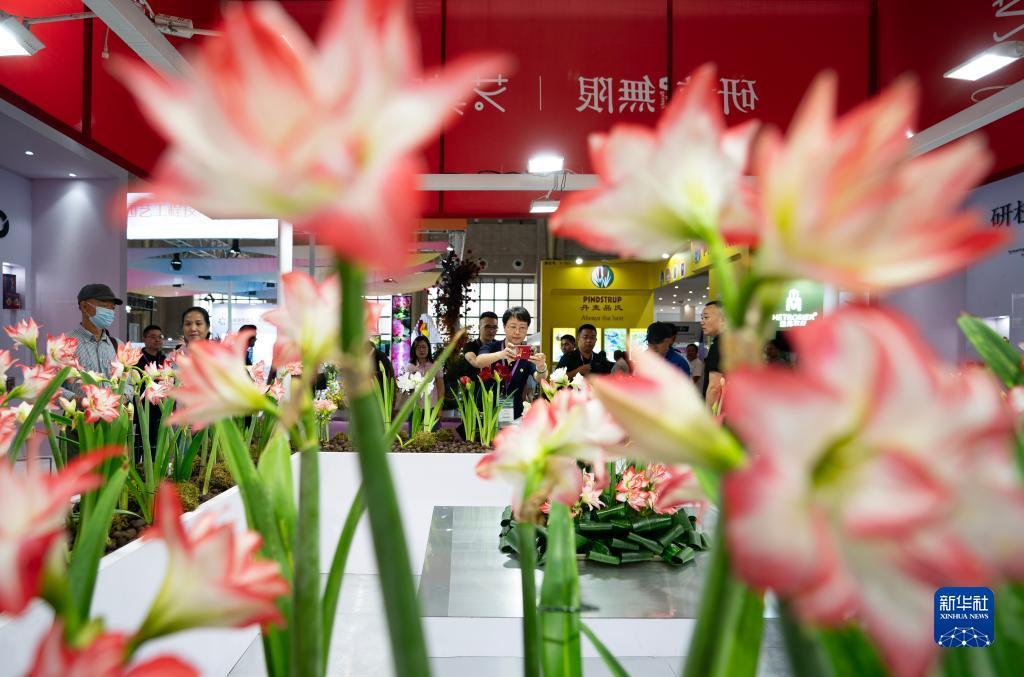 99游戏中心下载
